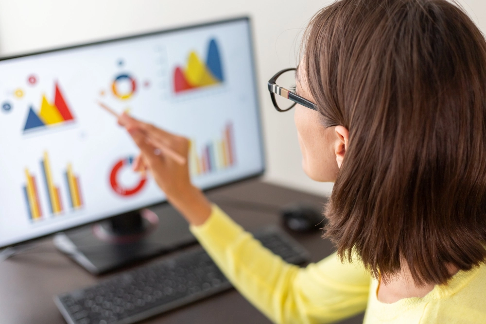Excel Dashboards
